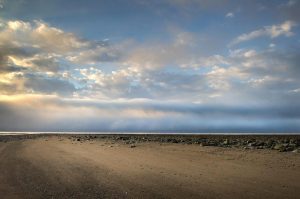 Bay of Fundy low tide