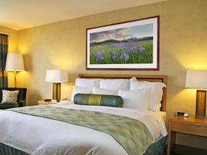 hotel bed Contemporary bathroom Alan Crowe Photography
