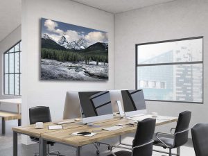 Office Alan Crowe Photography