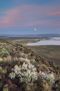 Full moon, Warner Lakes Wetlands, Oregon