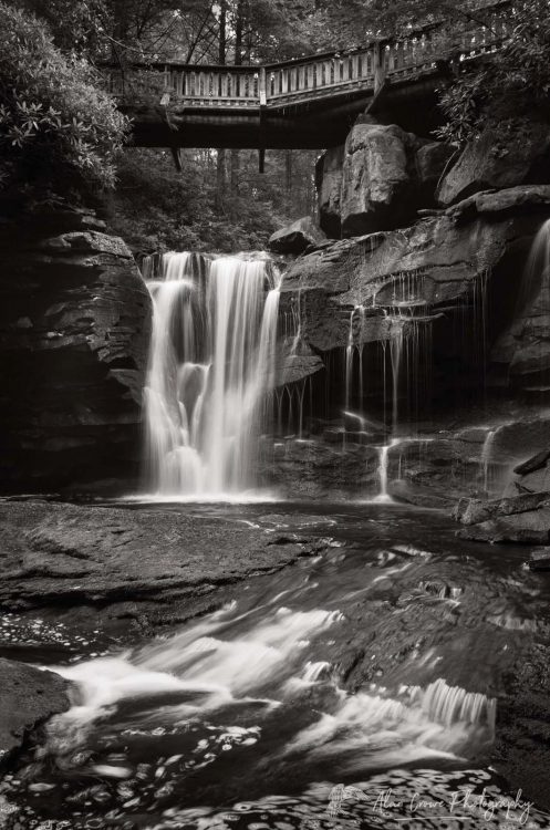 Elakala Falls, Blackwater Falls State Park  Elakala Falls, Blackwater Falls State Park