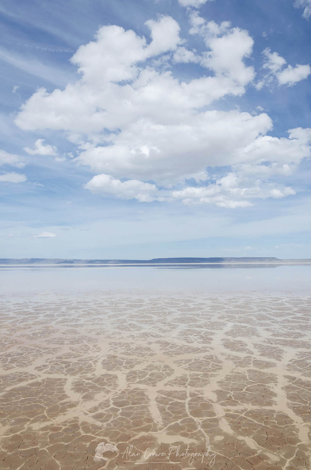 Geometric patterns in drying mud, Alvord Lake, a seasonal shallow alkali lake in Harney County, Oregon #60974