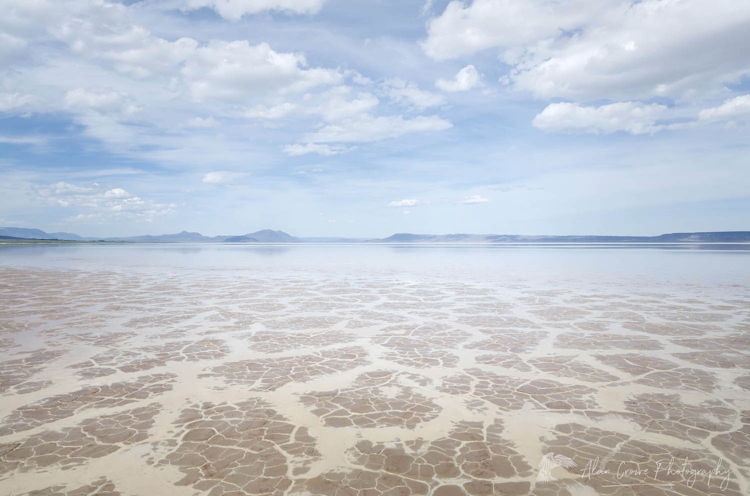 Geometric patterns in drying mud, Alvord Lake, a seasonal shallow alkali lake in Harney County, Oregon #60977