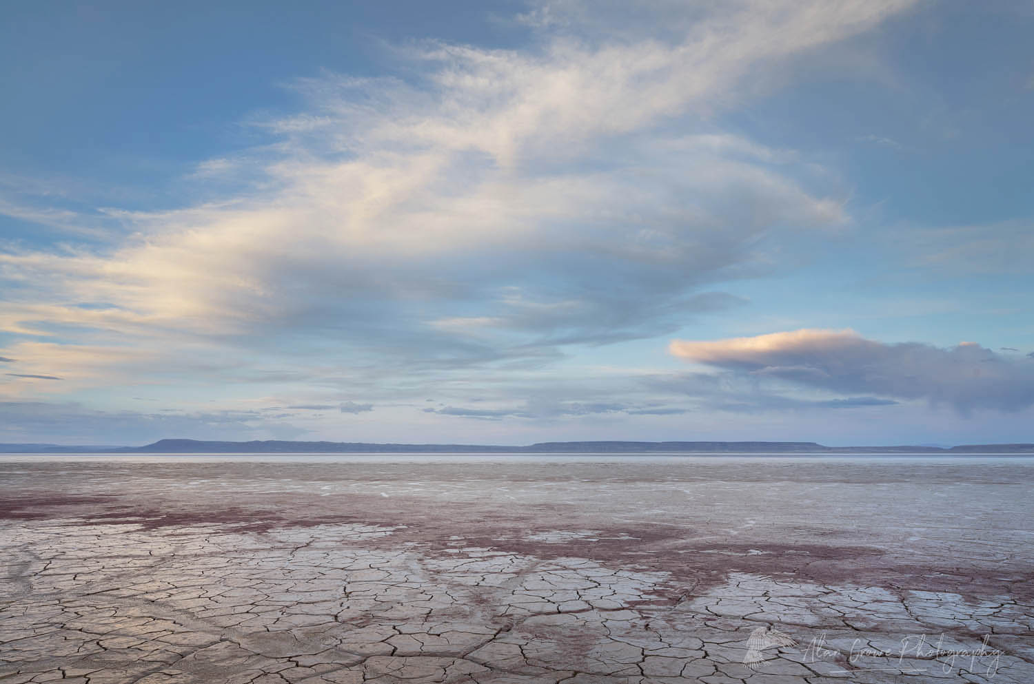 Geometric patterns in drying mud, Alvord Lake, a seasonal shallow alkali lake in Harney County, Oregon #61011