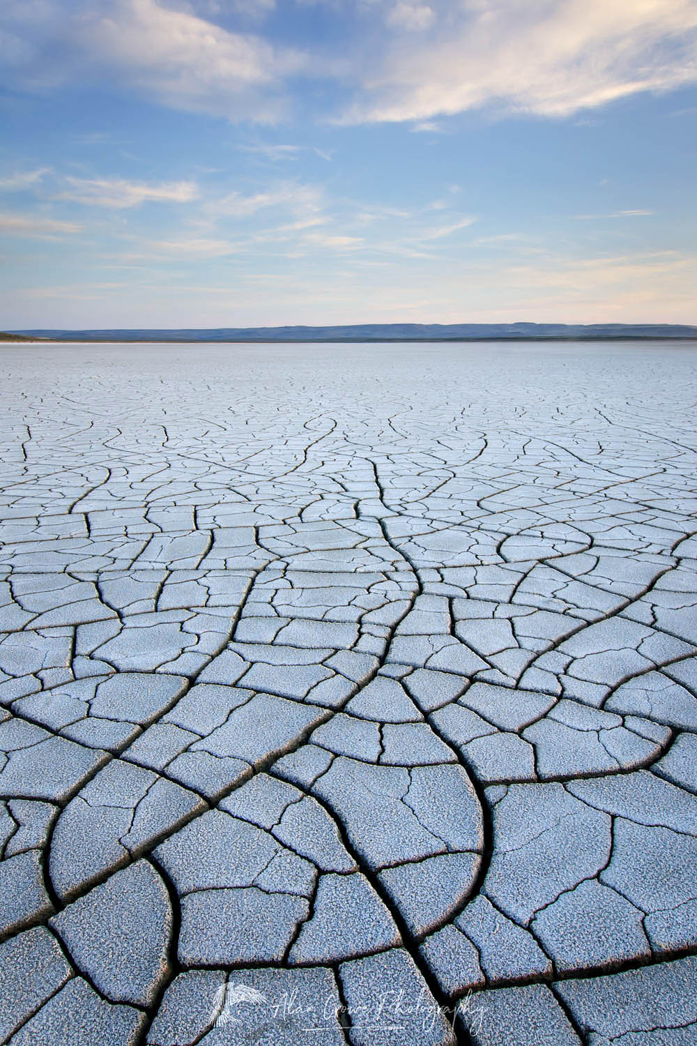 Patterns of cracked mud on dry lakebed of Harney Lake, Malheur National Wildlife Refuge, Oregon #48388