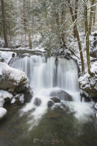 Whatcom Falls Bellingham Washington