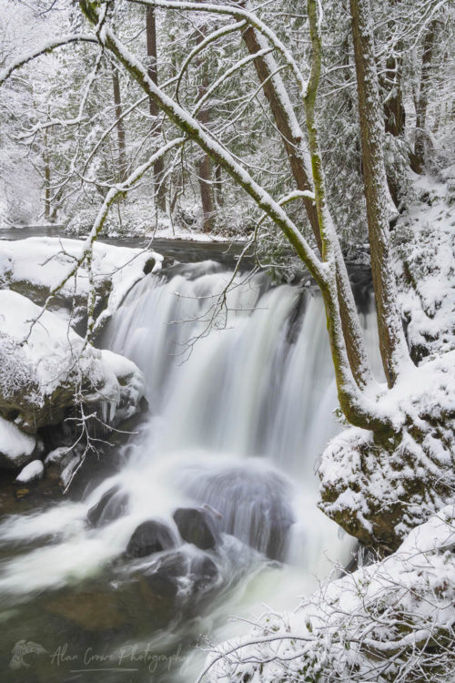 Whatcom Falls Bellingham Washington Whatcom Falls Winter Photography Whatcom Falls Bellingham Washington Whatcom Falls Winter Photography