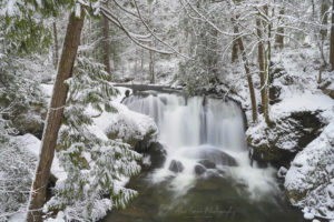 Whatcom Falls Bellingham Washington