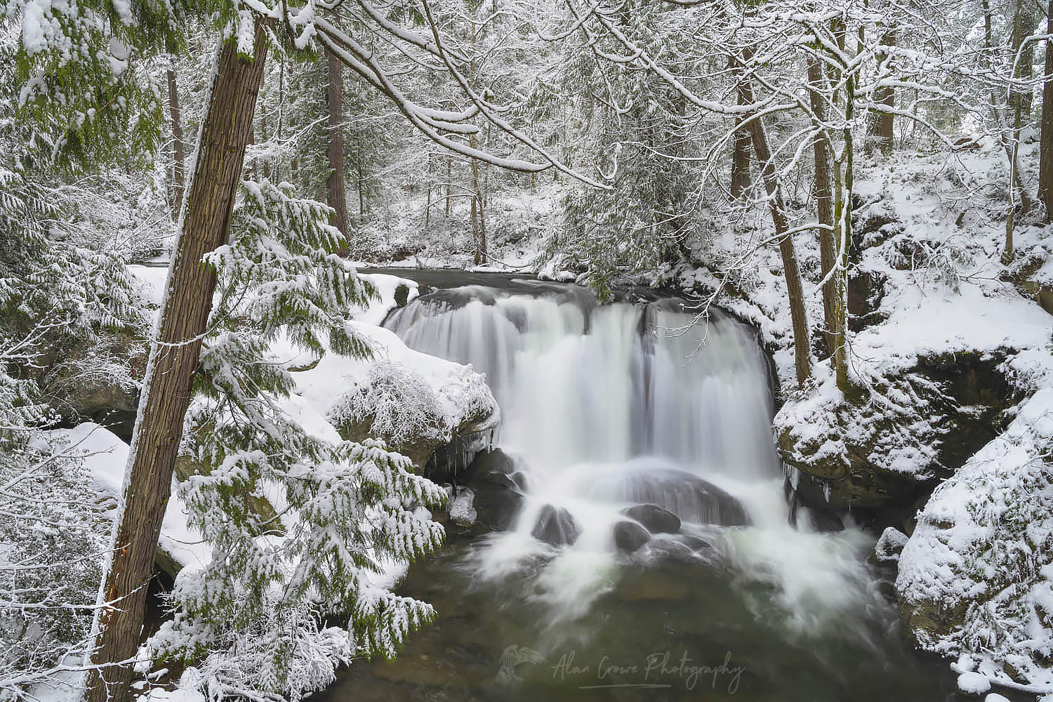 Whatcom Falls Bellingham Washington Whatcom Falls Winter Photography