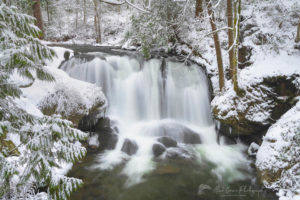 Whatcom Falls Bellingham Washington