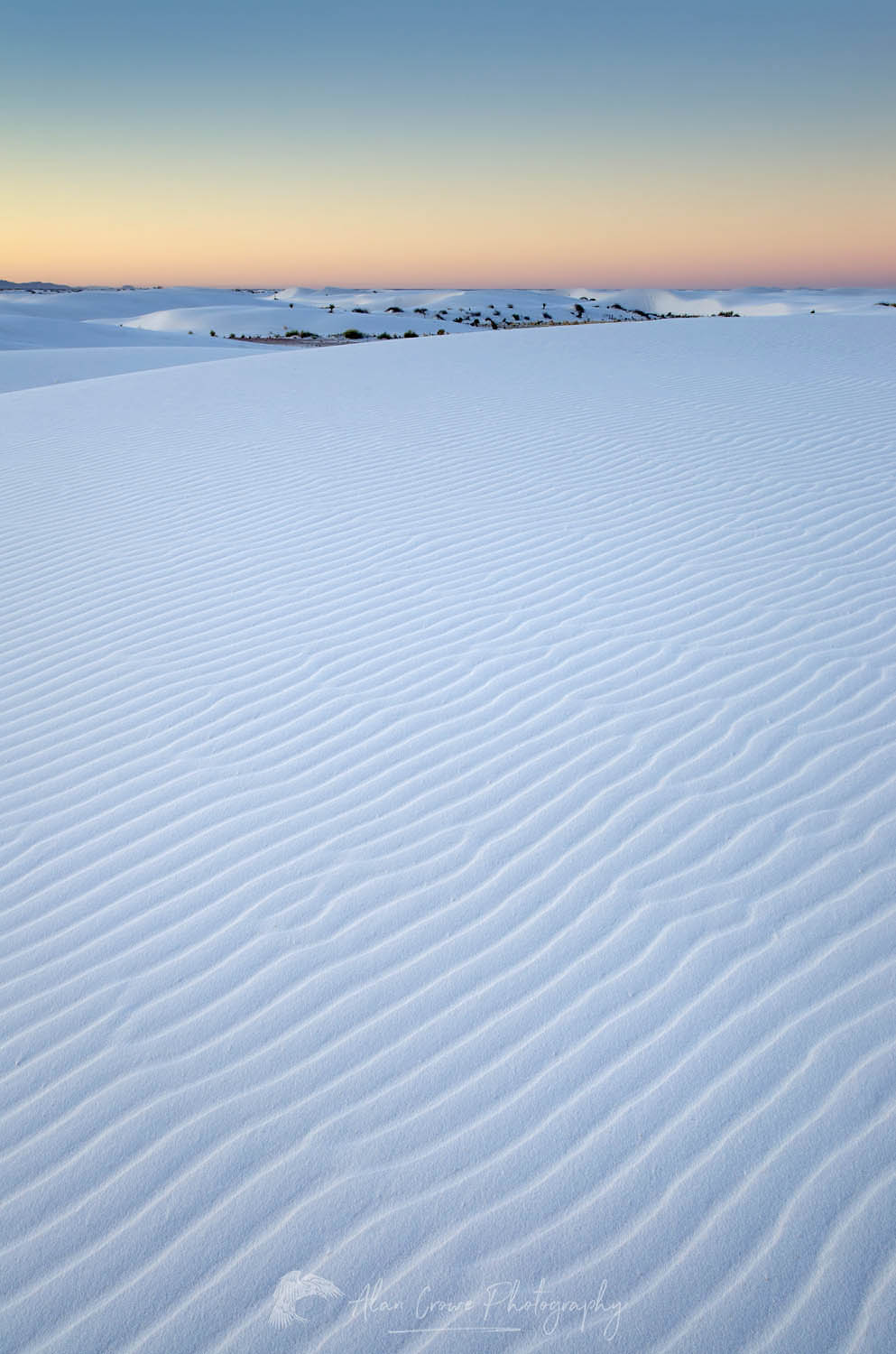 Ripple patterns in gypsum sand dunes, White Sands National Park New Mexico #57028
