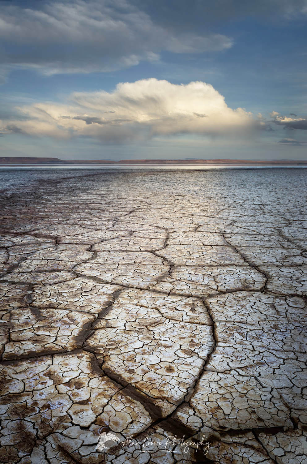 Geometric patterns in drying mud, Alvord Lake, a seasonal shallow alkali lake in Harney County, Oregon #61003