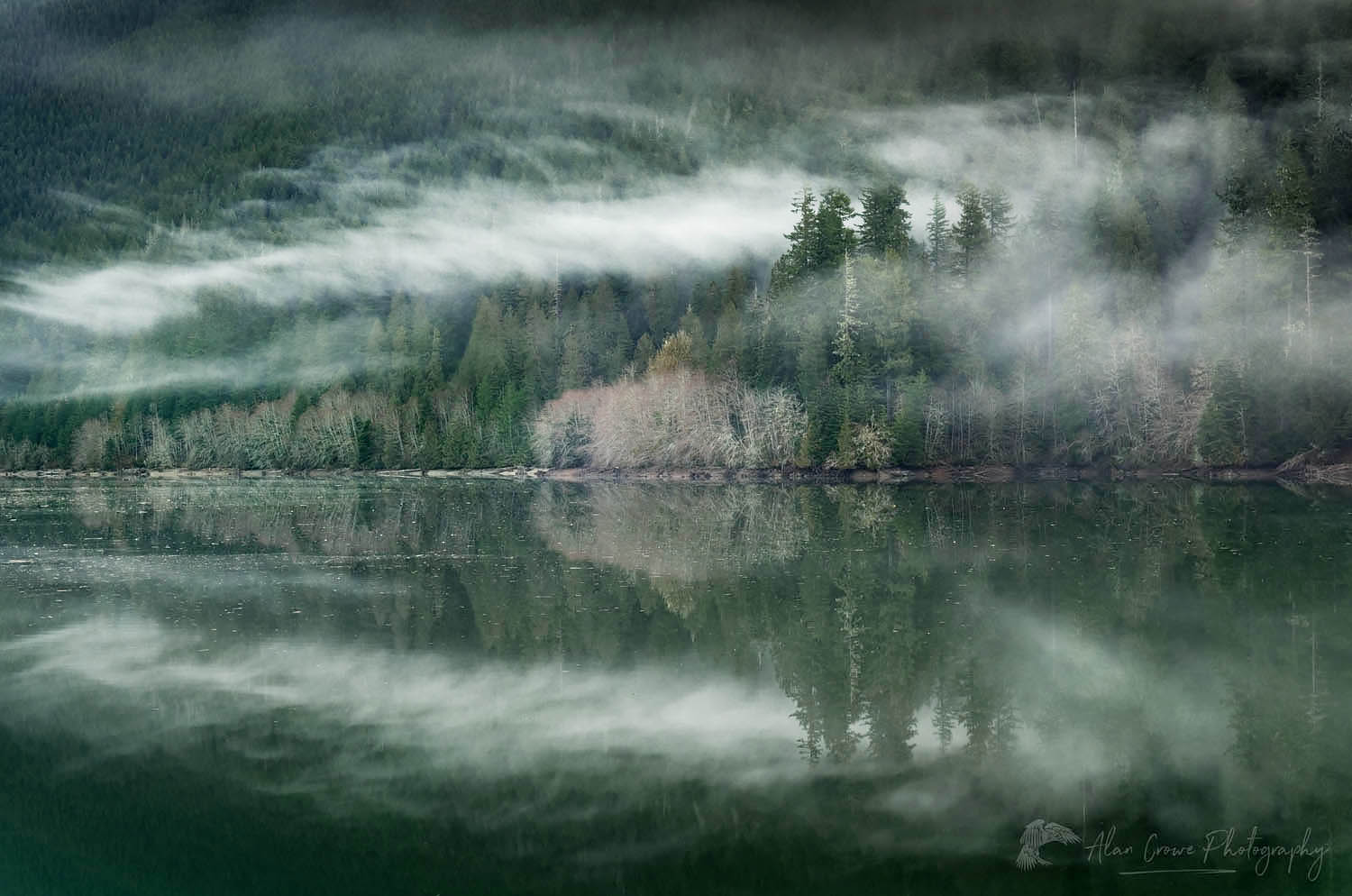 Fog over Baker Lake, North Cascades Washington #53591r