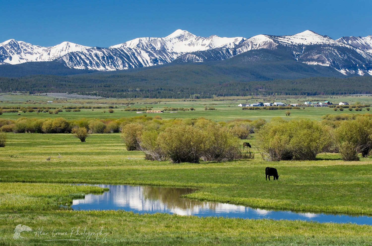 The Big Hole: Montana's Enduring Heartbeat in a World of Change