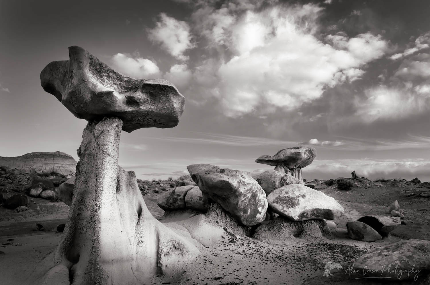 Sandstone hoodoos, Bisti Badlands, Bisti/De-Na-Zin Wilderness, New Mexico #57343bw