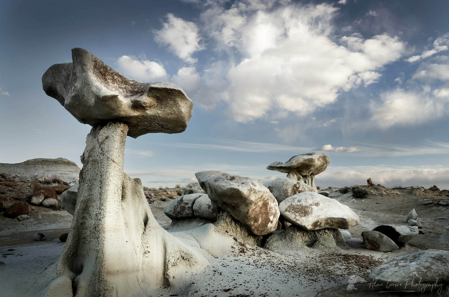 Sandstone hoodoos, Bisti Badlands, Bisti/De-Na-Zin Wilderness, New Mexico #57343r