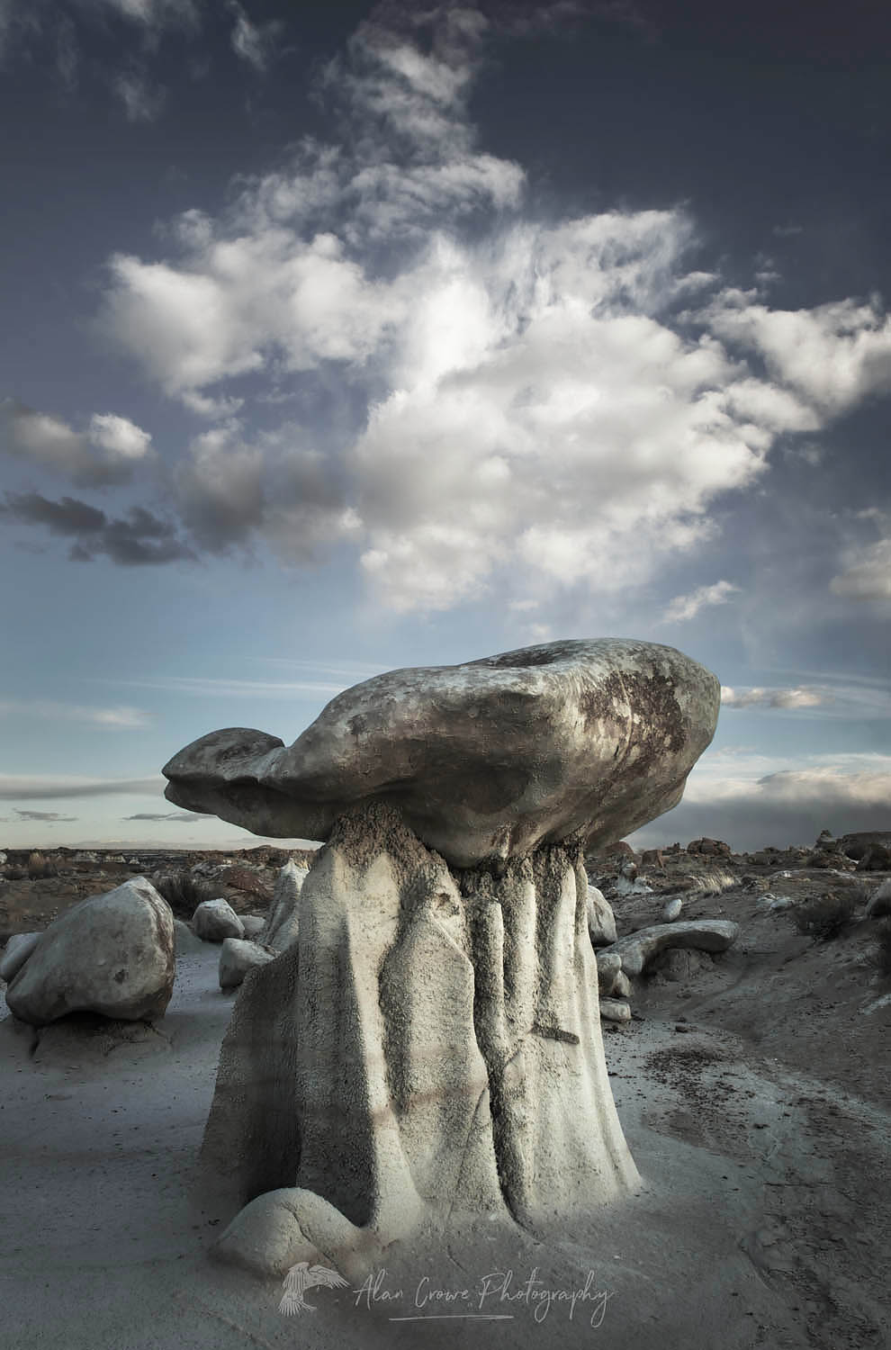 Sandstone hoodoos, Bisti Badlands, Bisti/De-Na-Zin Wilderness, New Mexico #57344r