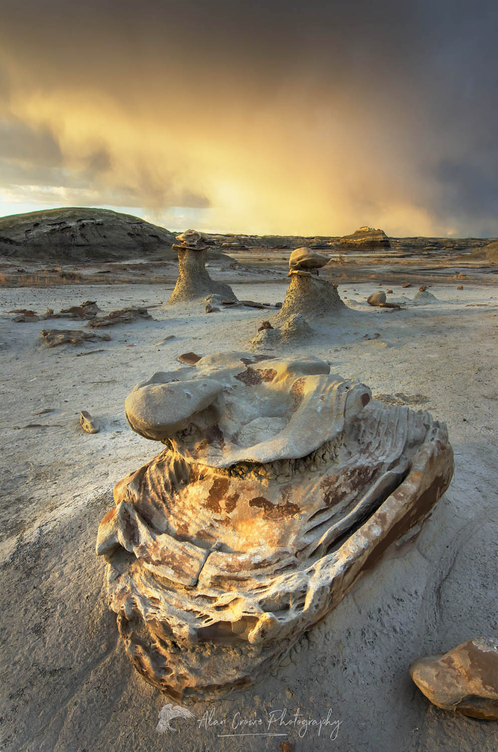 Approaching storm at the "Egg Factory" sandstone formations, Bisti Badlands, Bisti/De-Na-Zin Wilderness, New Mexico #57388