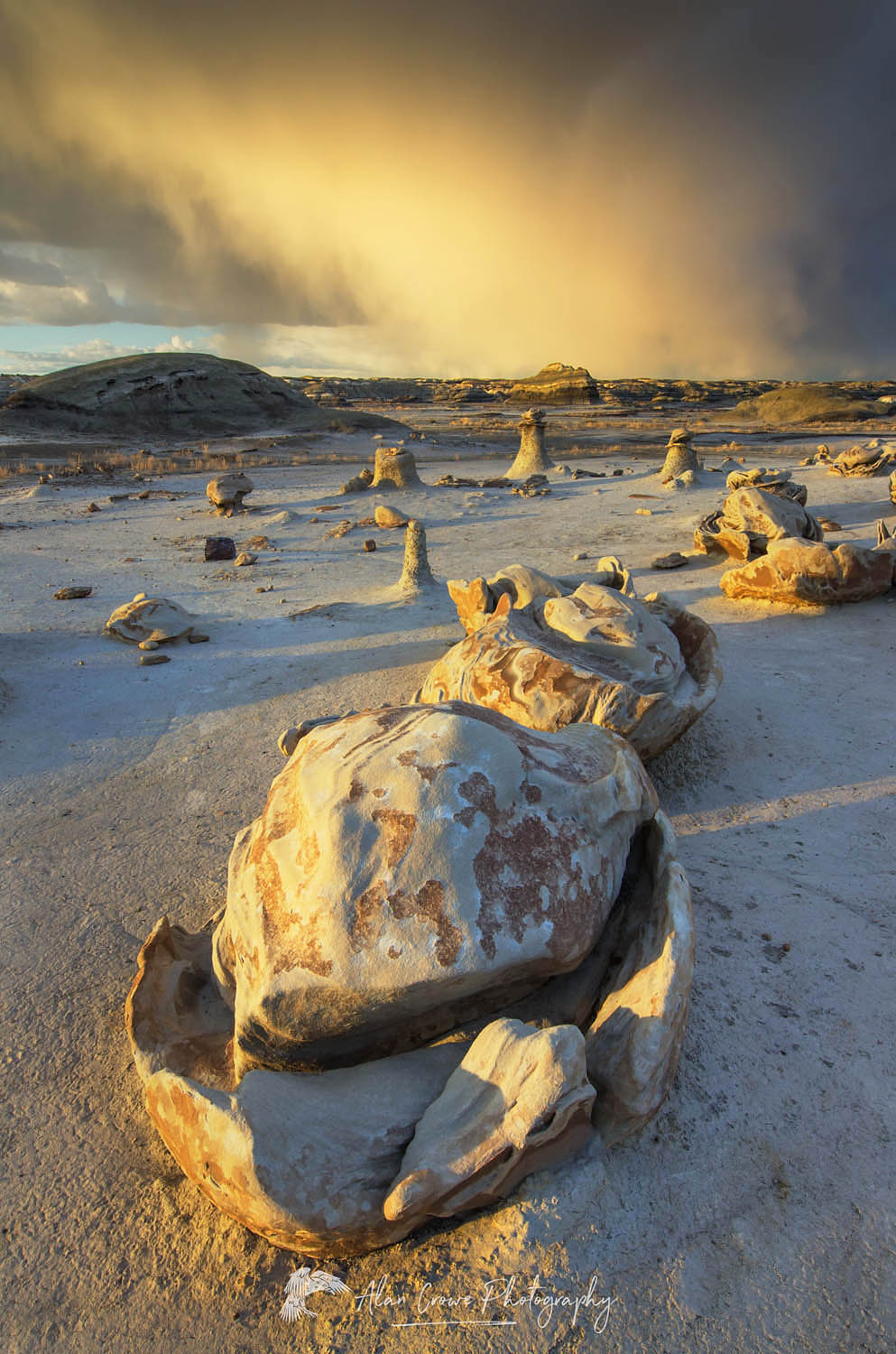 Approaching storm at the "Egg Factory" sandstone formations, Bisti Badlands, Bisti/De-Na-Zin Wilderness, New Mexico #57392
