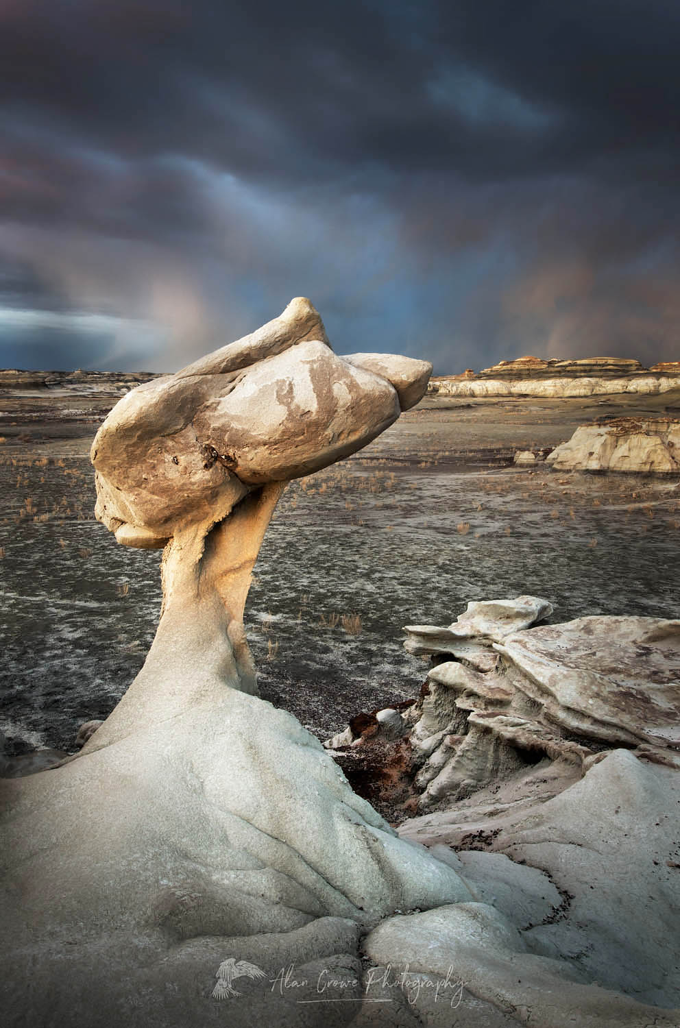 Hoodoos at Bisti Badlands, Bisti/De-Na-Zin Wilderness, New Mexico #57428r