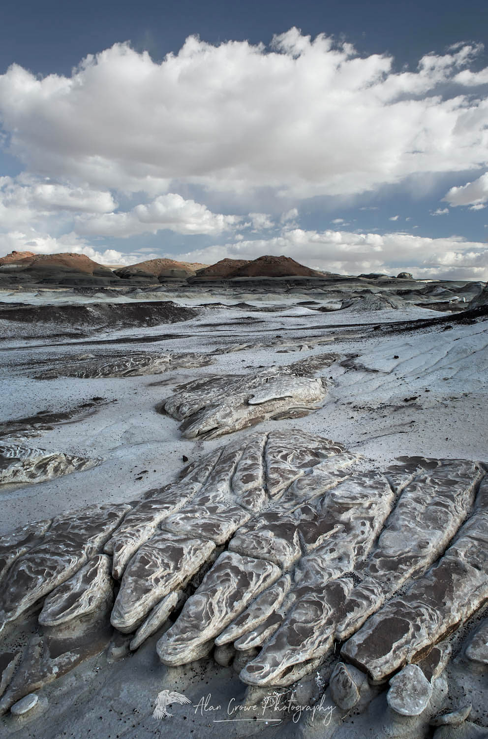 Bisti Badlands, Bisti/De-Na-Zin Wilderness, New Mexico #57458r