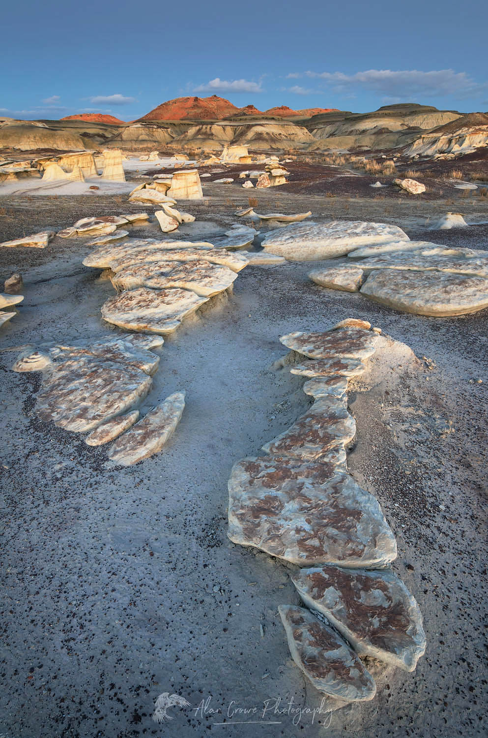 Bisti Badlands, Bisti/De-Na-Zin Wilderness, New Mexico #57503