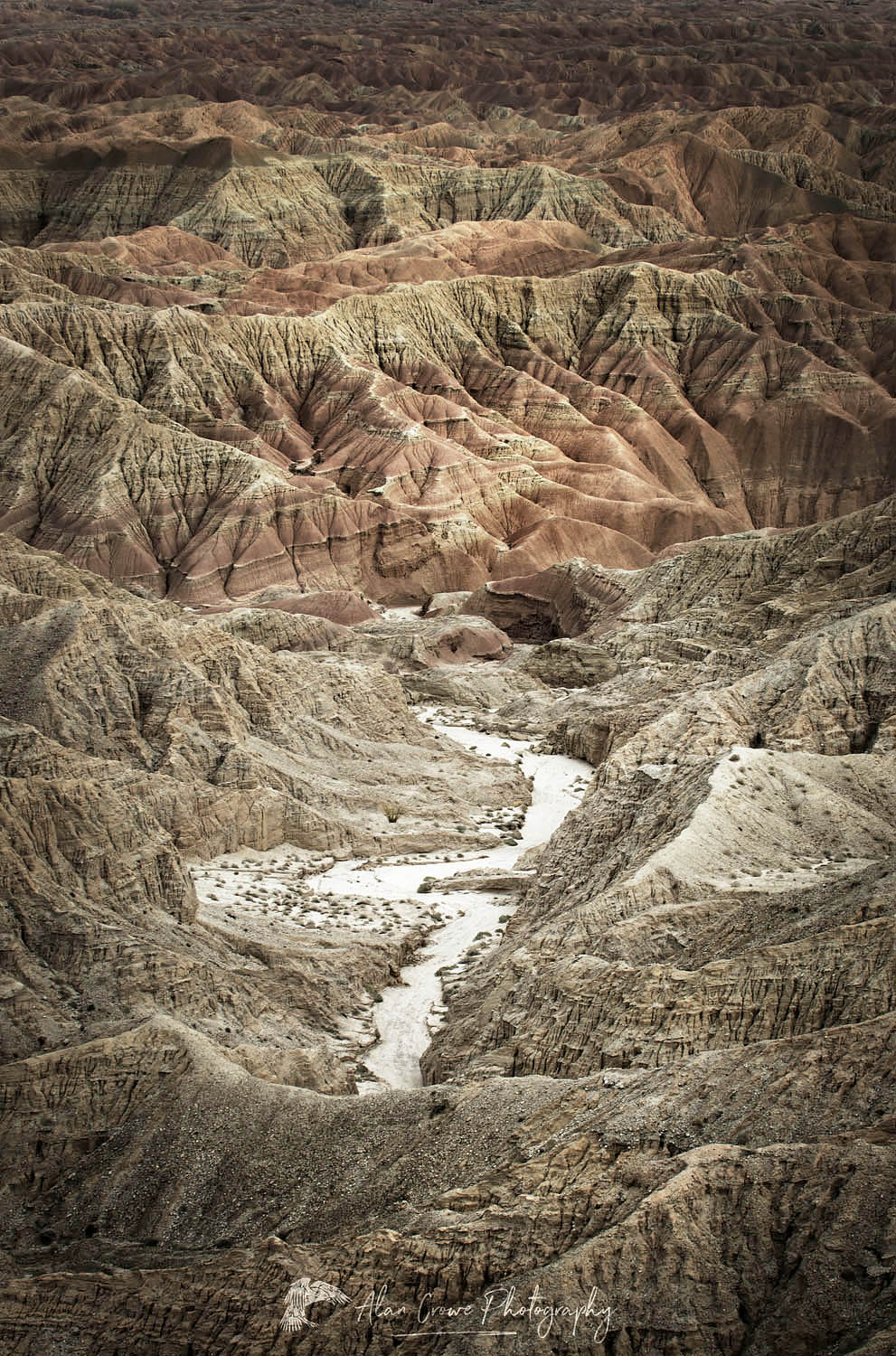 Borrego Badlands from Fonts Point, Anza-Borrego Desert State Park California #56796r