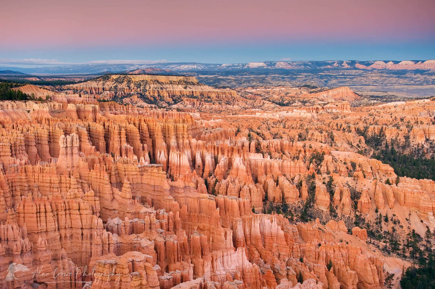 Alpenglow over Bryce Canyon from Bryce Point, Bryce Canyon National Park #31807