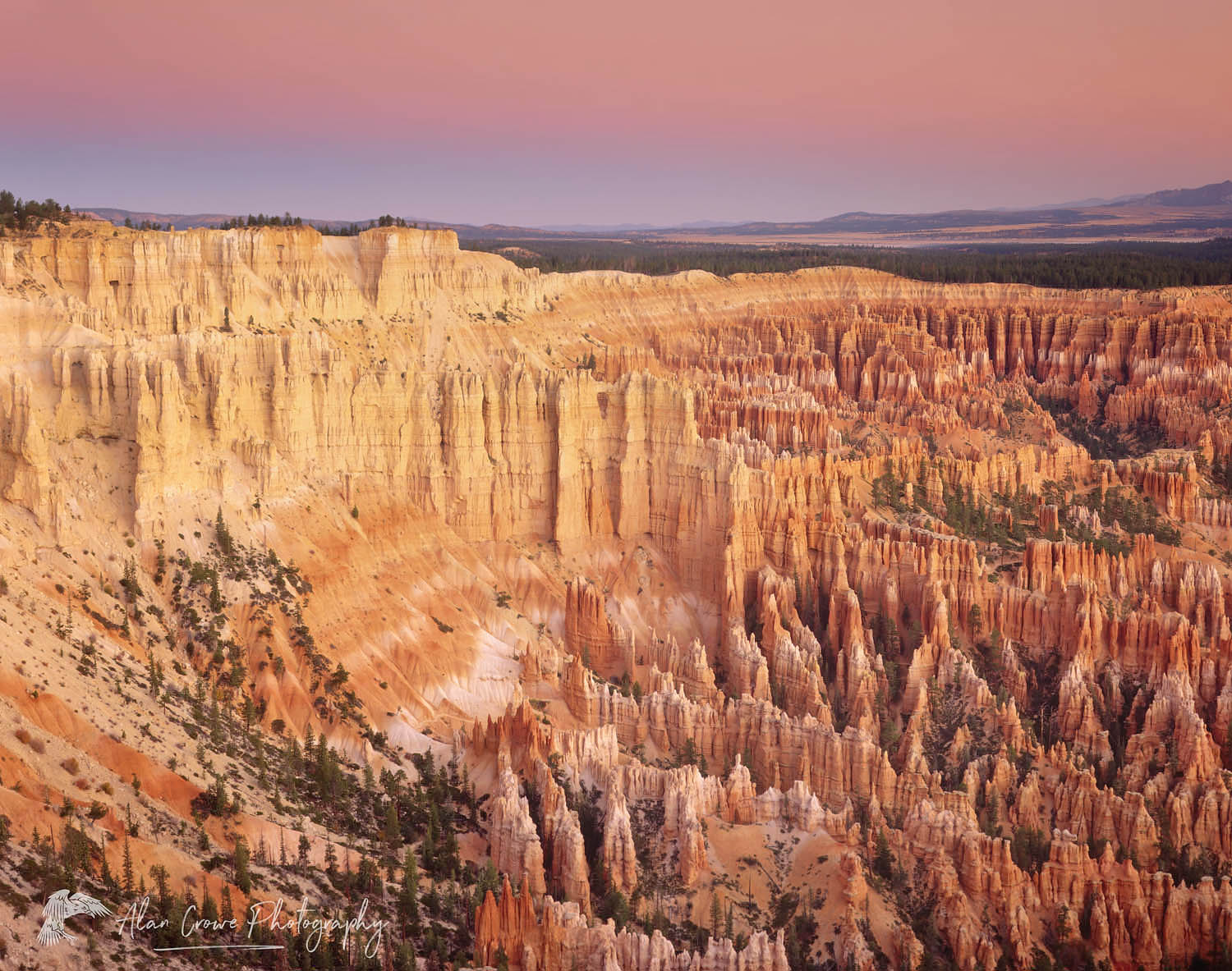 Pre-dawn glow over Bryce Canyon from canyon rim, Bryce Canyon National Park Utah #6062