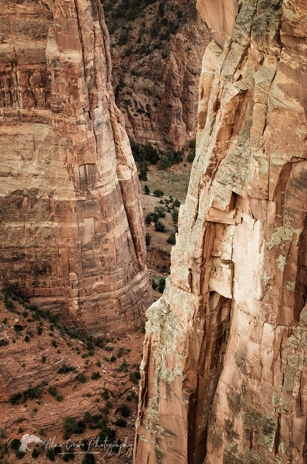 Canyon de Chelly National Monument, Arizona #57516