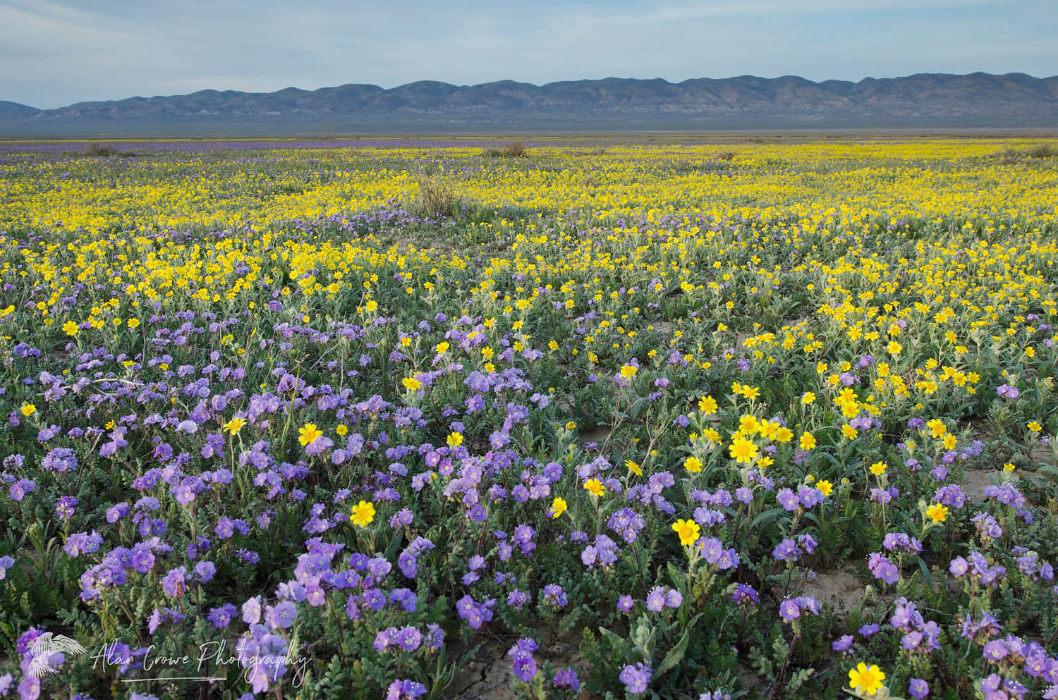 Carrizo Plains National Monument, California near Soda Lake #56665