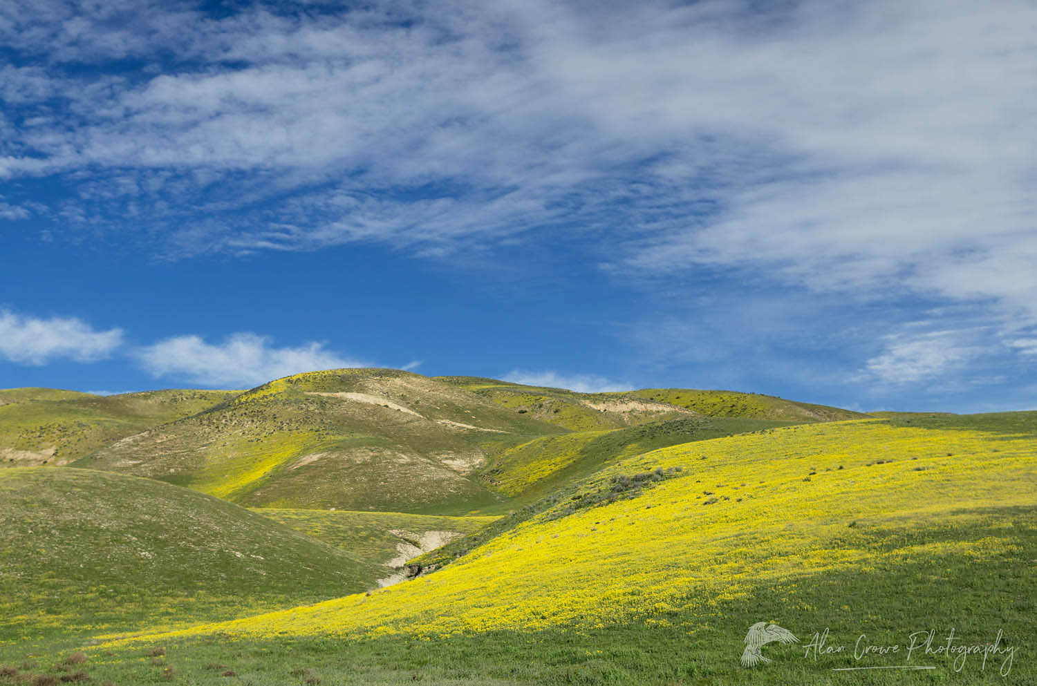 Temblor Range Carrizo Plains National Monument California #56681