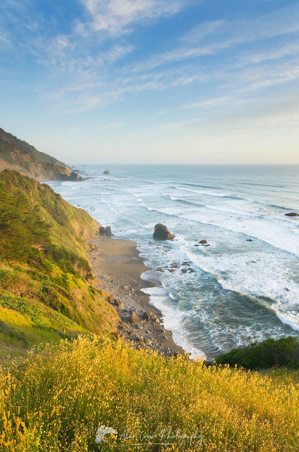 Redwoods Coast of Northern California from Vista Point, DelNorte Redwoods State Park California #44472