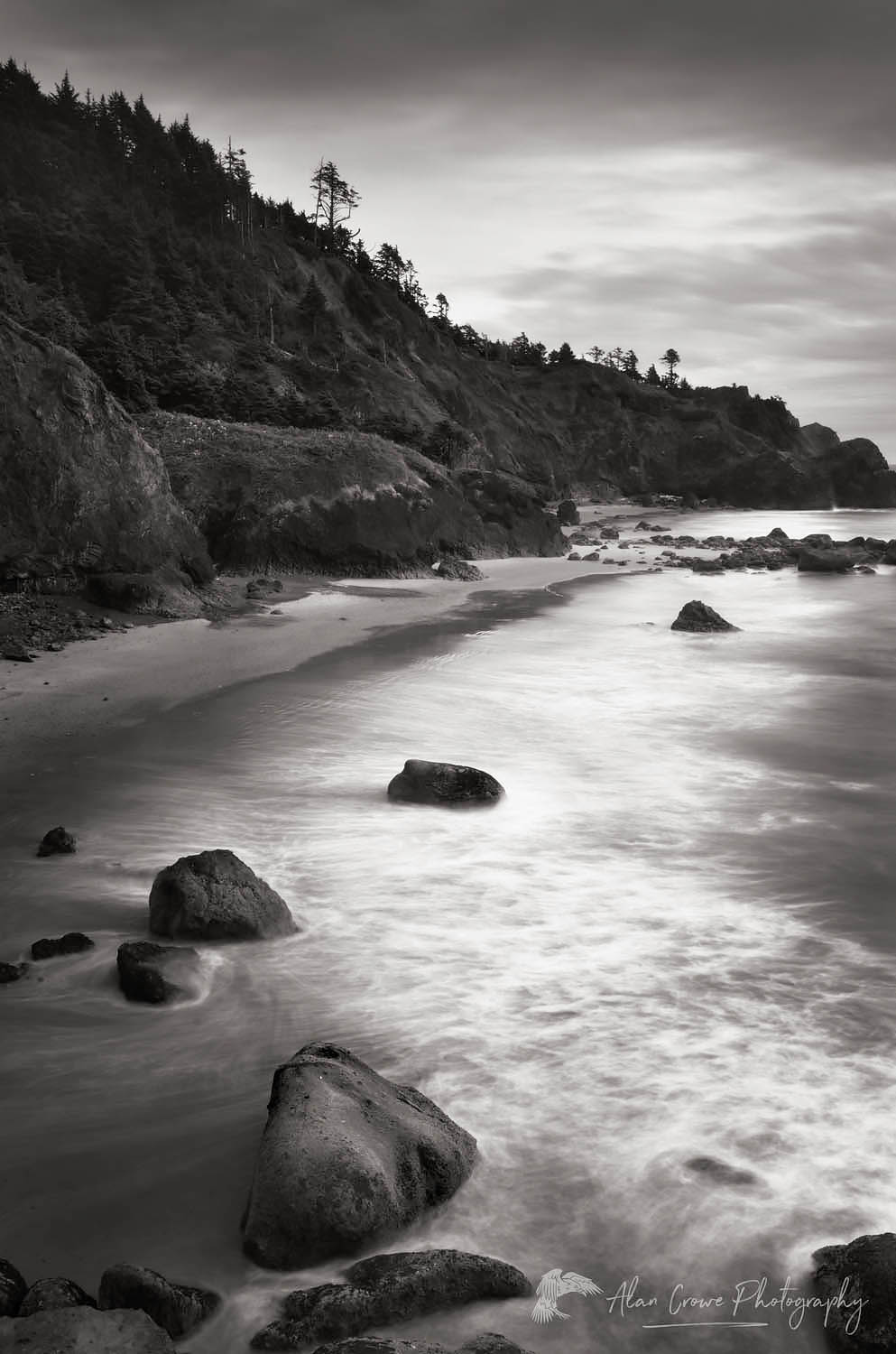 Indian Beach Ecola State Park Oregon #54122bw