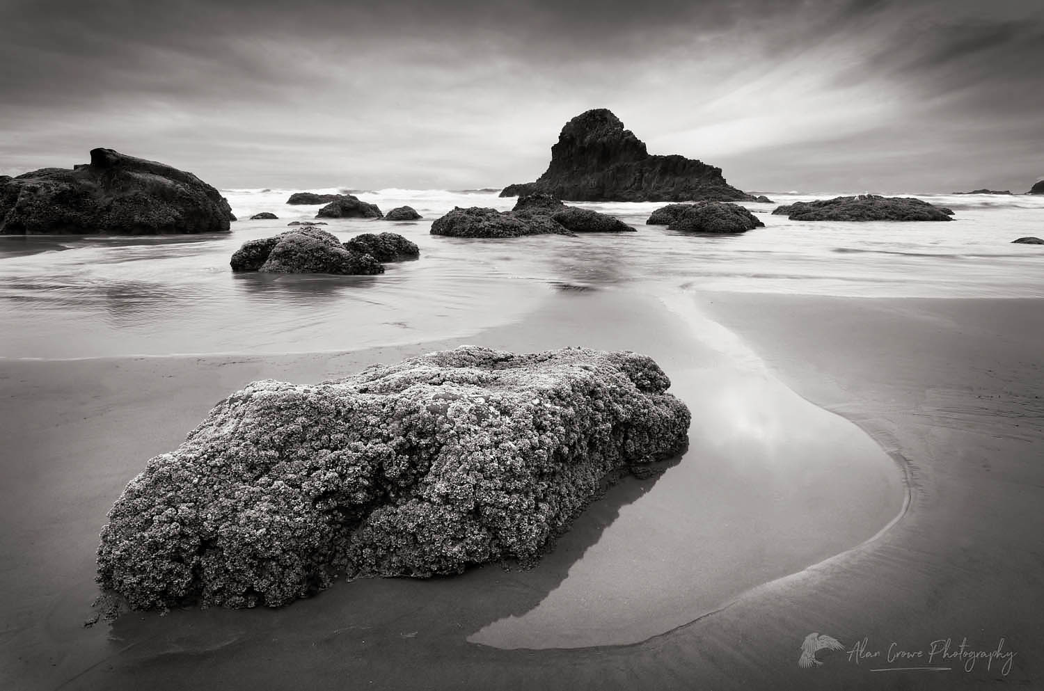 Indian Beach Ecola State Park Oregon #54125bw