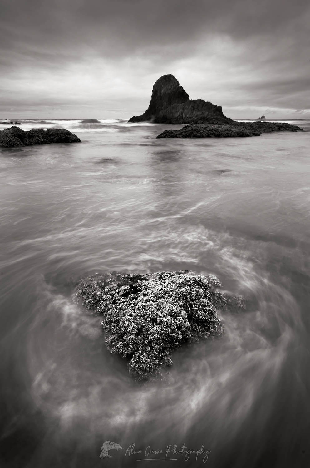 Indian Beach Ecola State Park Oregon #54130bw
