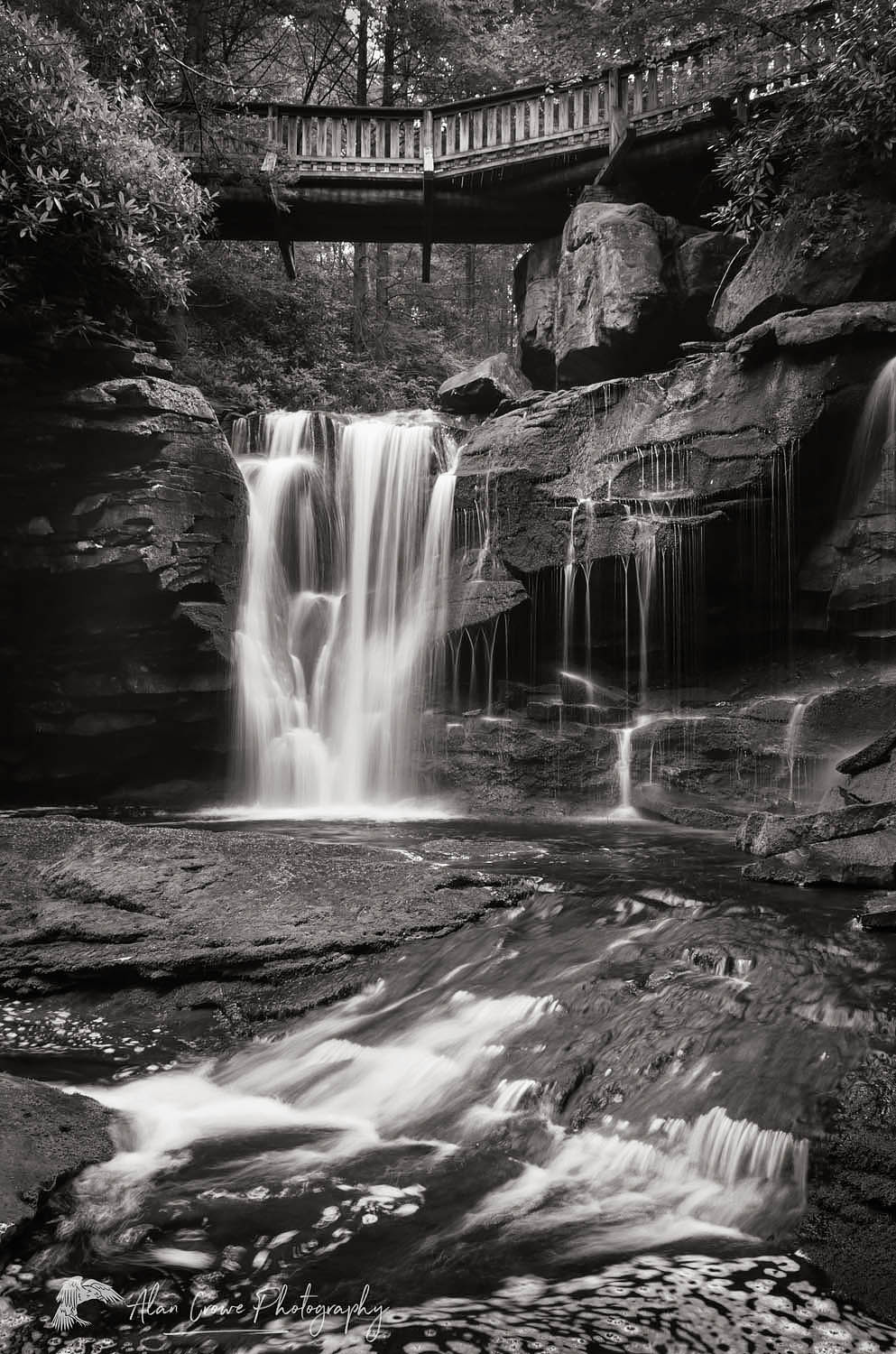 First or Upper Elakala Falls, Blackwater Falls State Park, West Virginia #63340bw