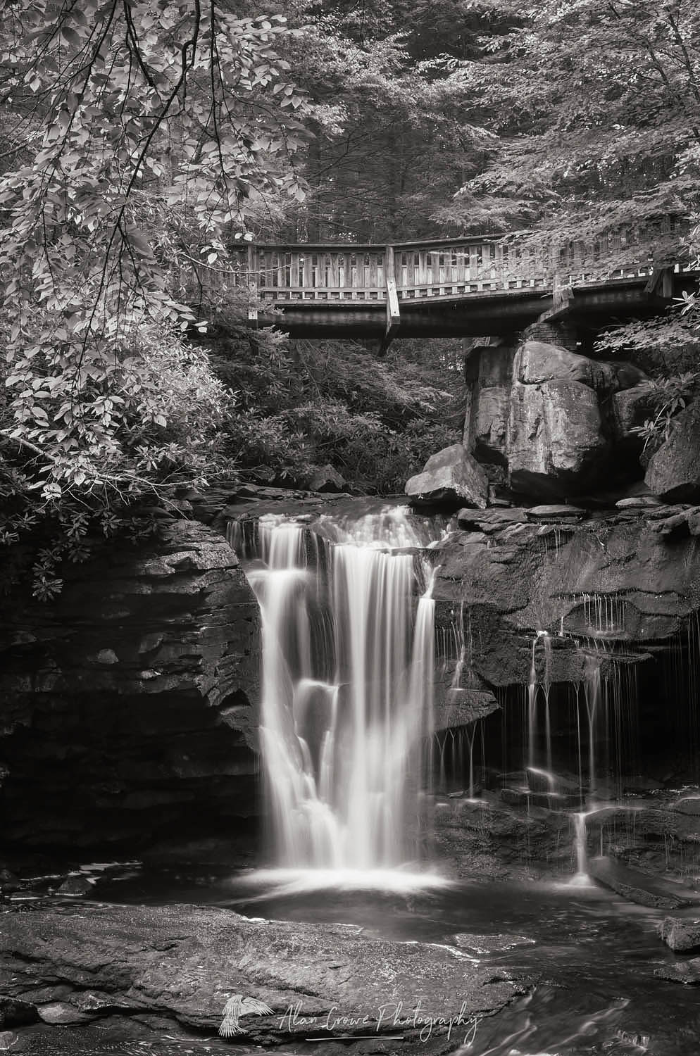 Elakala Falls Blackwater Falls State Park Alan Crowe Photography
