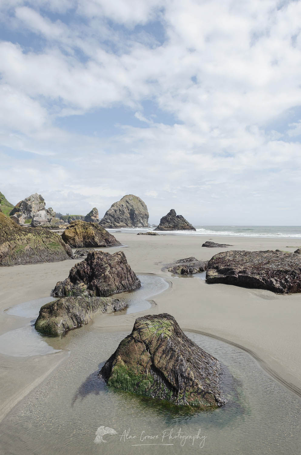 Harris Beach State Park, Oregon #60754