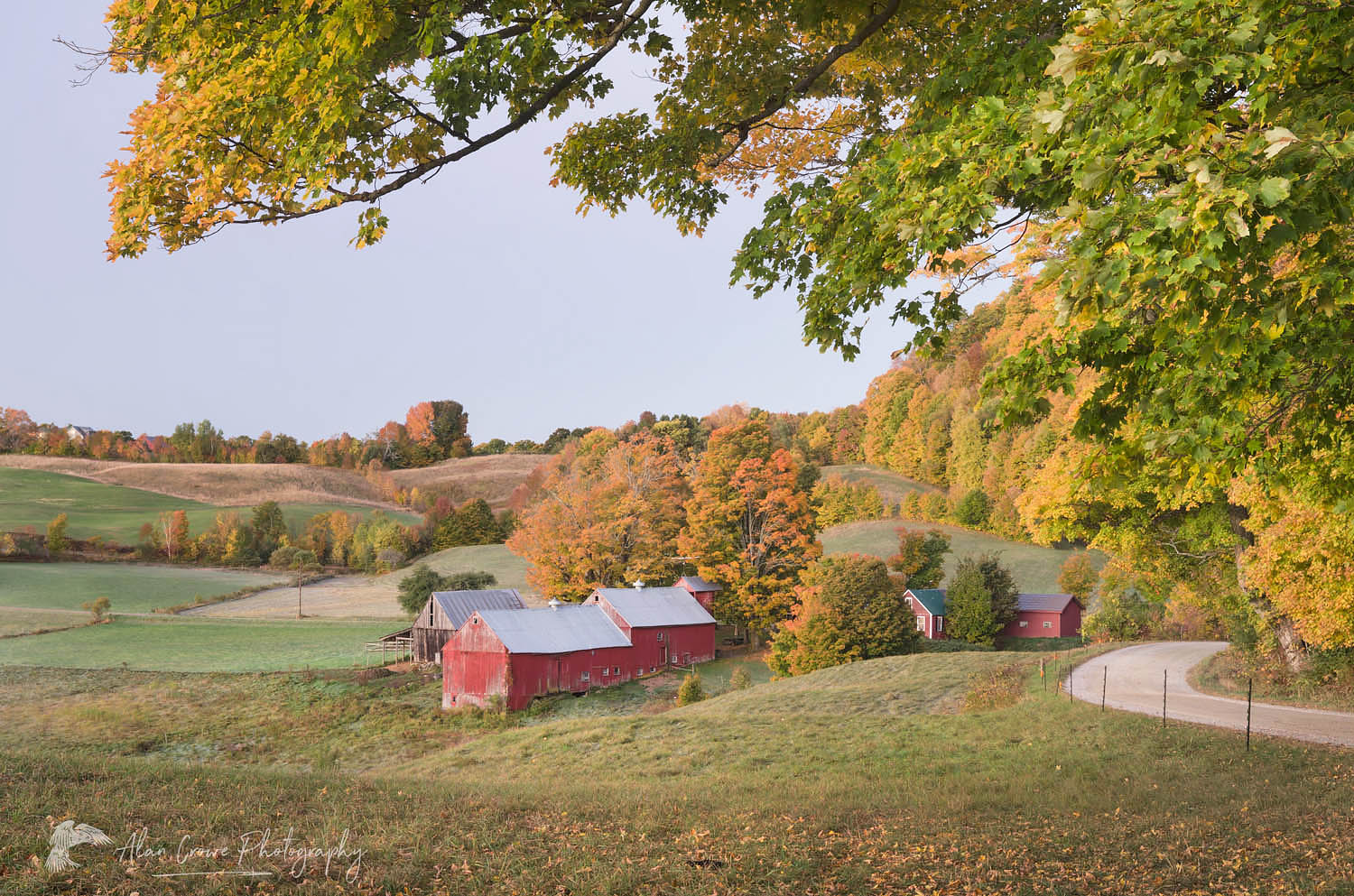 Jenne Farm Vermont #59407