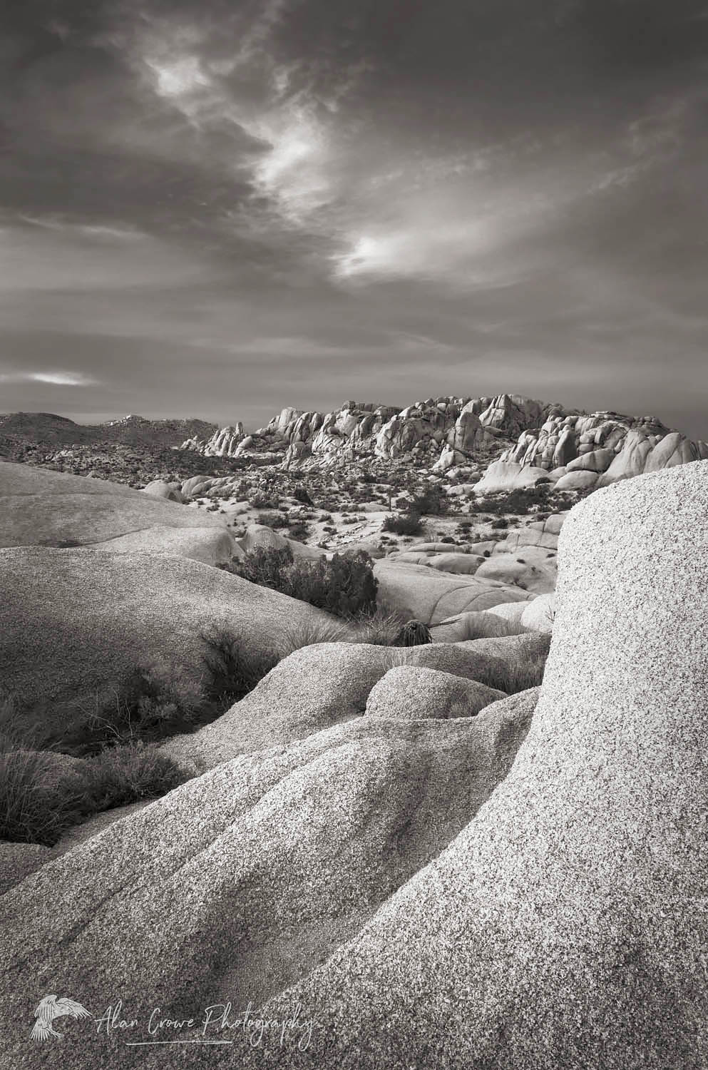 Jumbo Rocks area of Joshua Tree National Park California #55190bw
