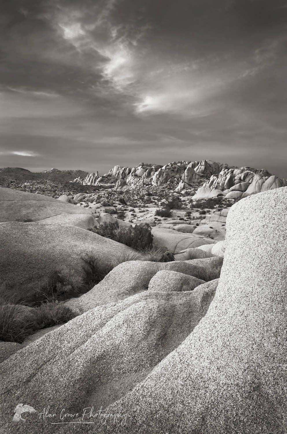 Jumbo Rocks area of Joshua Tree National Park California #55190bw