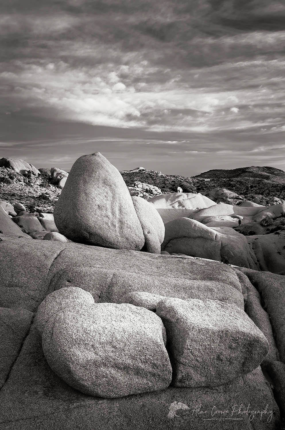 Sunrise over Jumbo Rocks area of Joshua Tree National Park California #55254bw