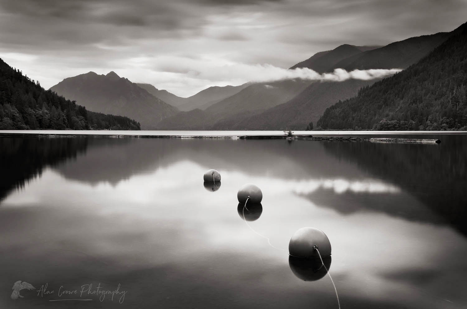 Lake Crescent Olympic National Park #53919bw