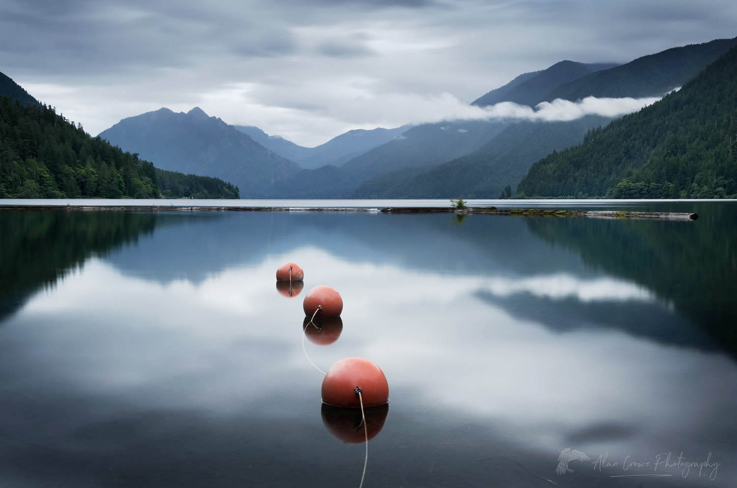 Lake Crescent Olympic National Park #53920