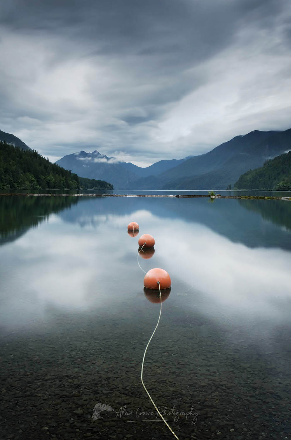 Lake Crescent Olympic National Park #53924