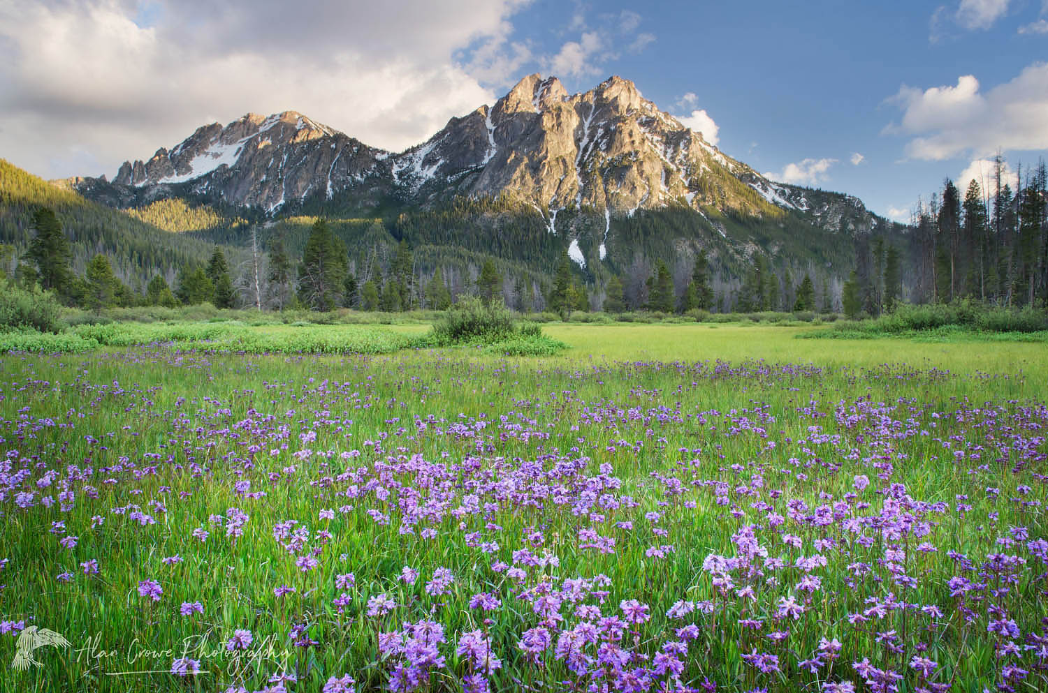 McGown Peak Sawtooth Mountains, Idaho #55912