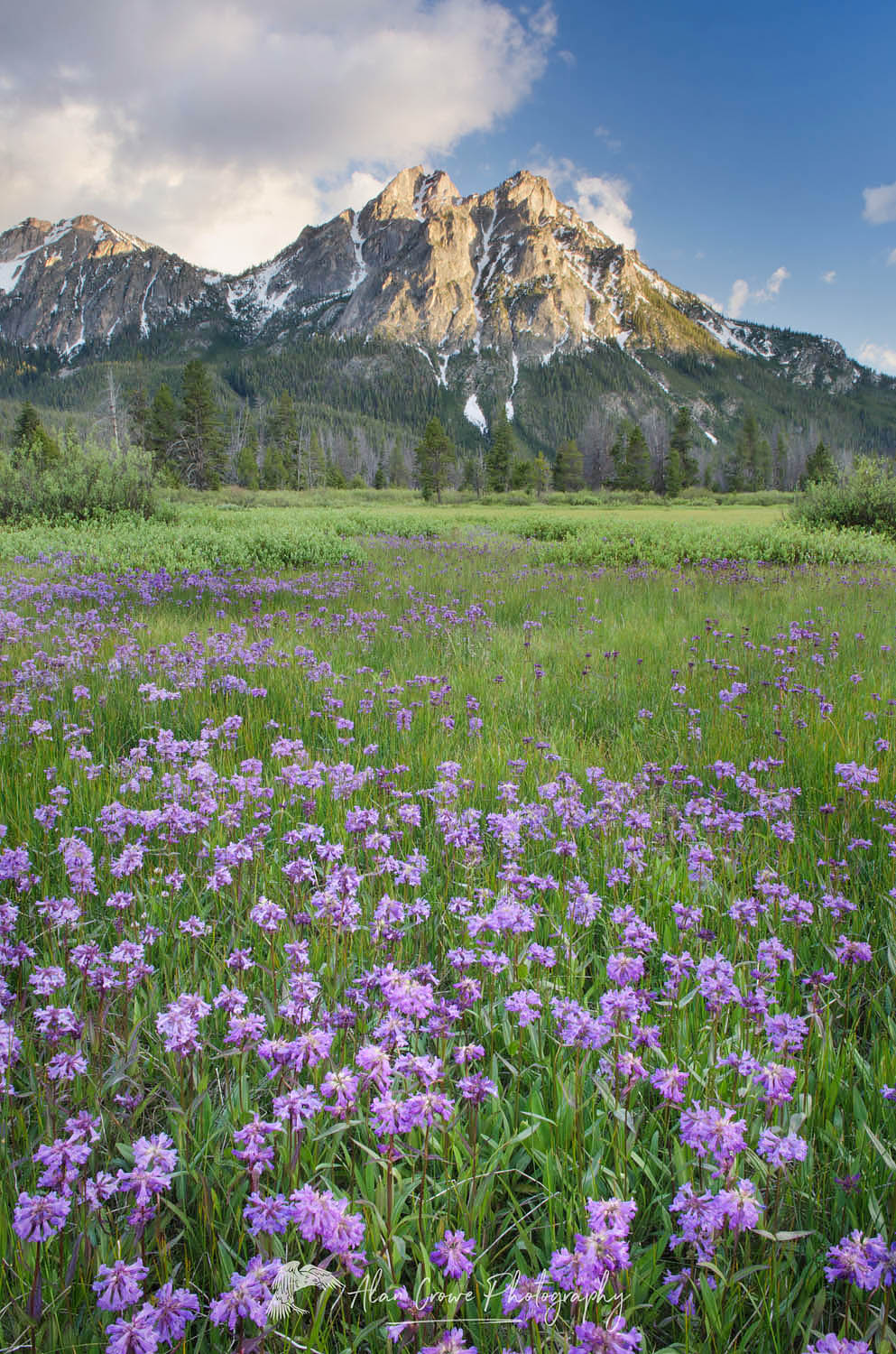 McGown Peak Sawtooth Mountains, Idaho #55914