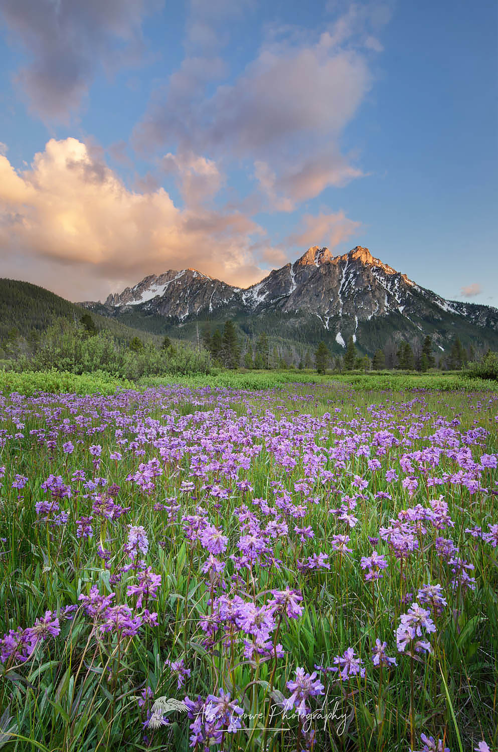 McGown Peak Sawtooth Mountains, Idaho #55923