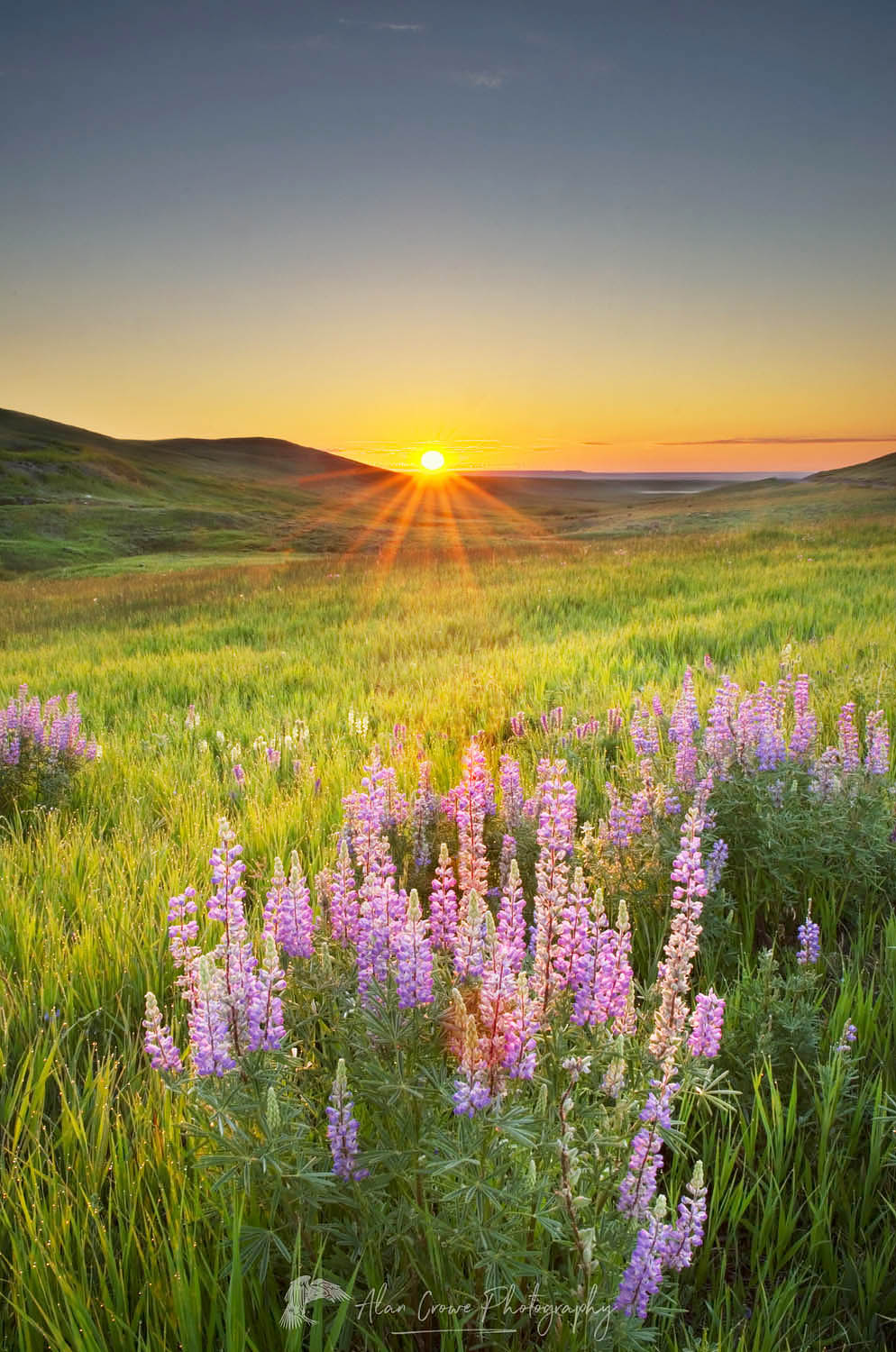 Prairie sunrise near Choteau Montana #53100